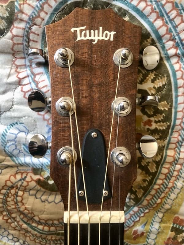 Taylor GS mini 5