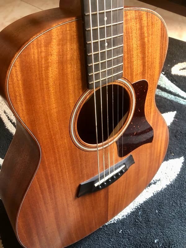 Taylor GS mini 6