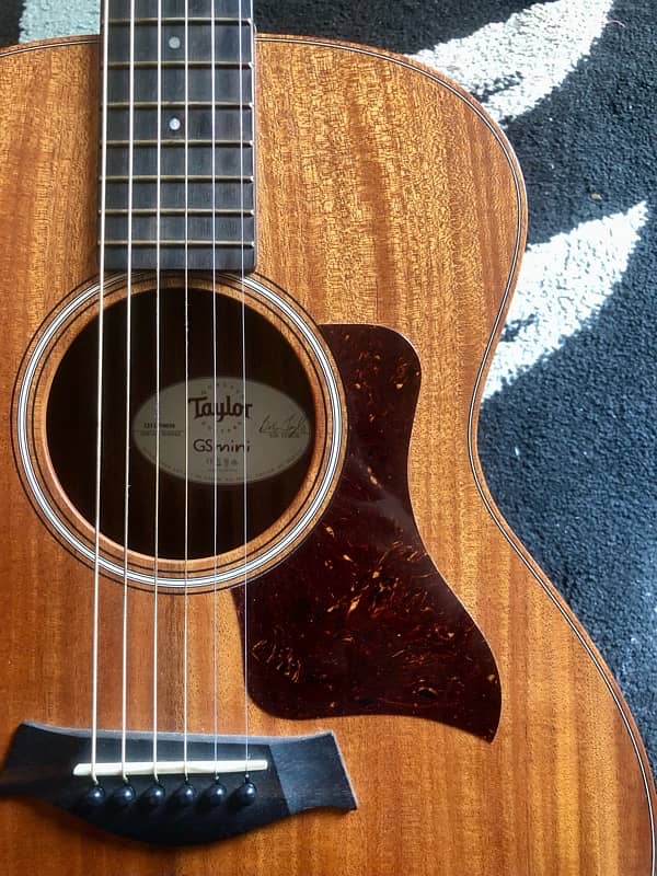 Taylor GS mini 7