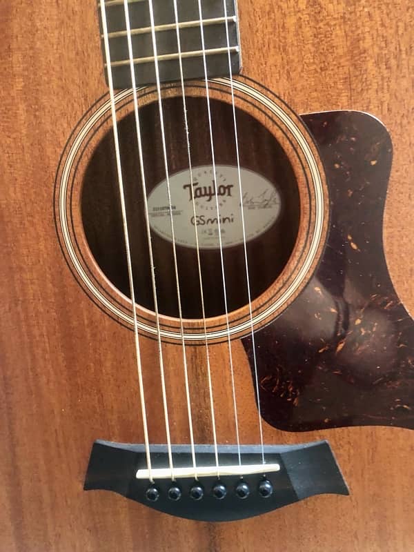 Taylor GS mini 9