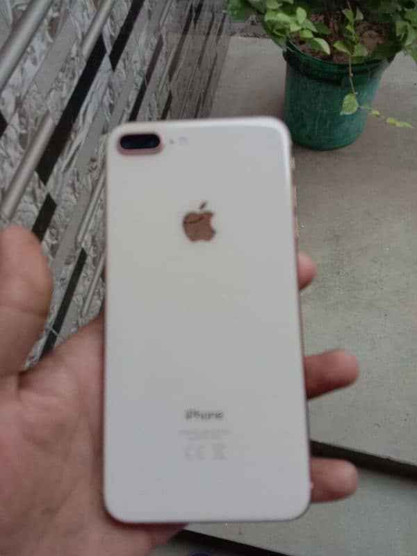 iphone 8plus pta approved 64gb 3