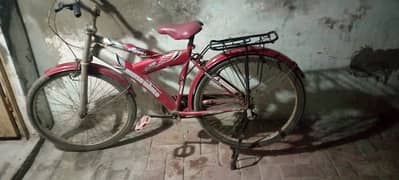 SUPER SPORT, Mountain Bicycle, New