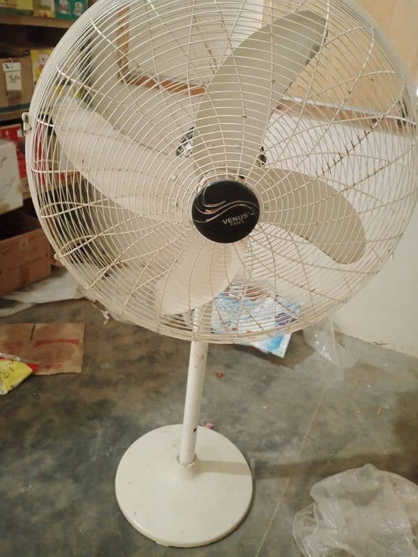 Venus pedestal fan 0