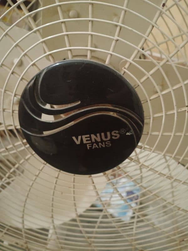 Venus pedestal fan 1