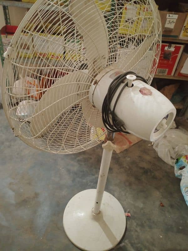 Venus pedestal fan 2