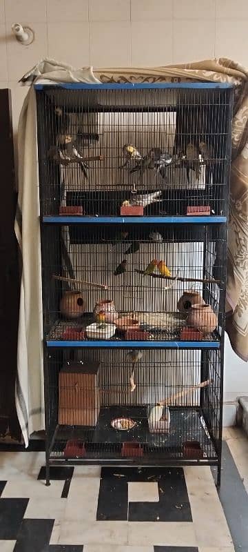 large size cage 4