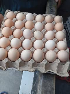 desi eggs 450