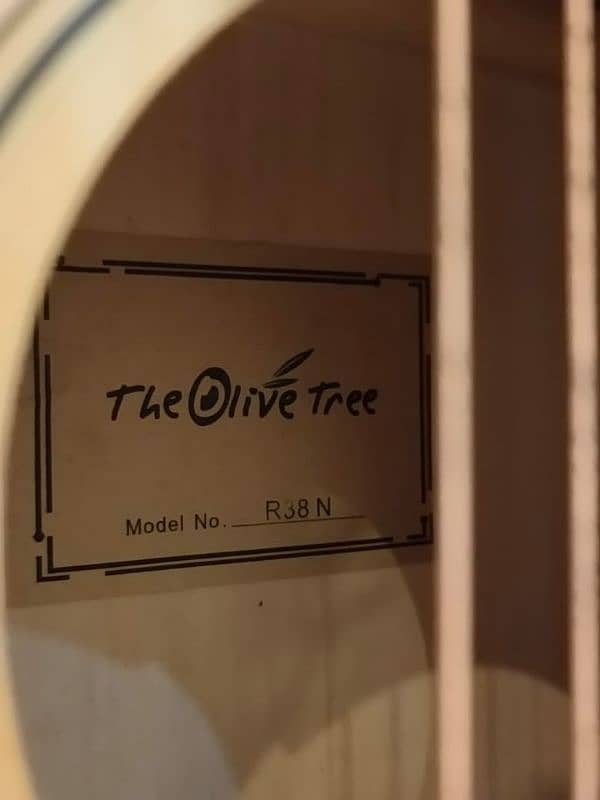 The Olive Tree R38N Guitar with truss rod 5