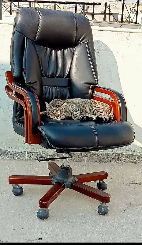 executive chair 0