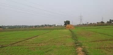 44 Kanal Agricultural Land for sale in Sialkot Road