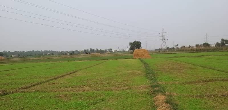 44 Kanal Agricultural Land for sale in Sialkot Road 0