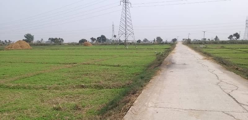 44 Kanal Agricultural Land for sale in Sialkot Road 1