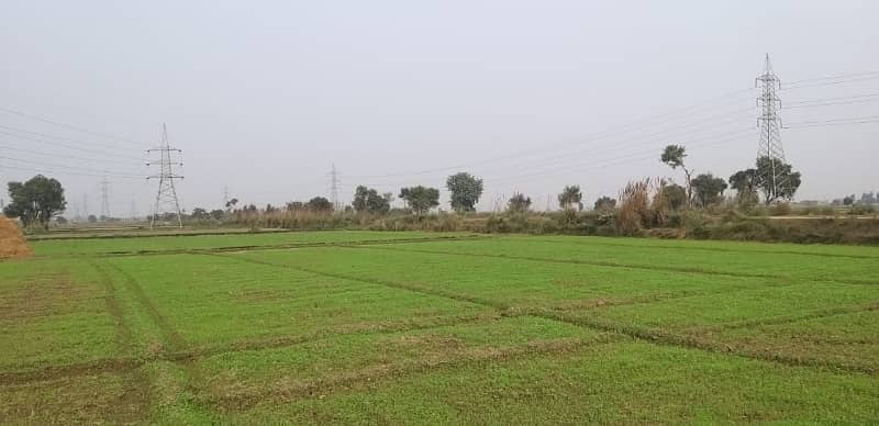 44 Kanal Agricultural Land for sale in Sialkot Road 3