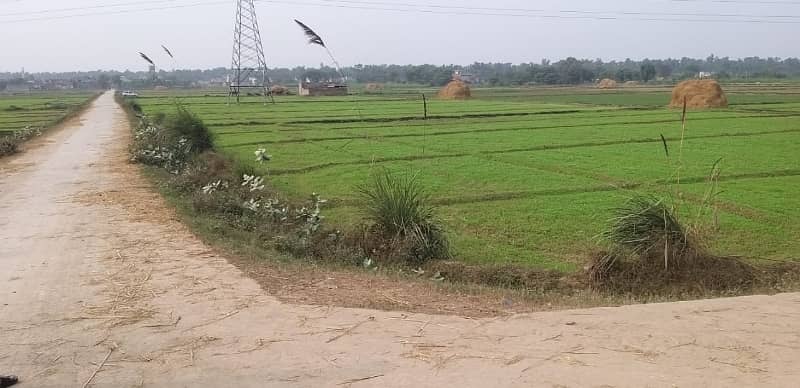 44 Kanal Agricultural Land for sale in Sialkot Road 5