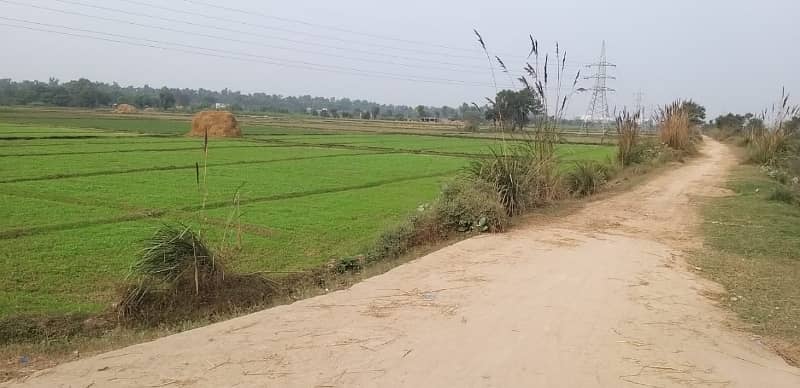 44 Kanal Agricultural Land for sale in Sialkot Road 6