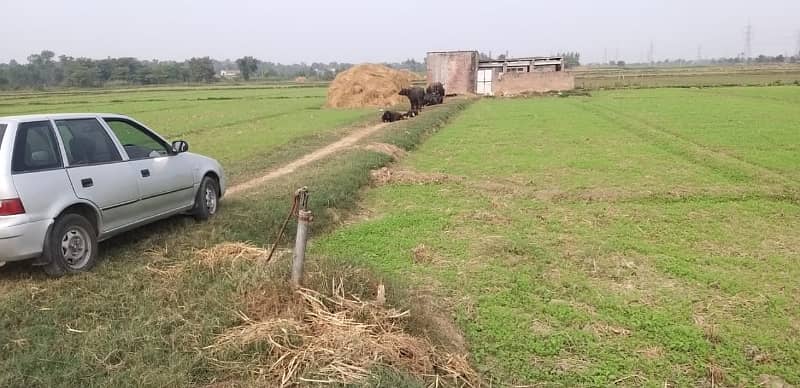 44 Kanal Agricultural Land for sale in Sialkot Road 8