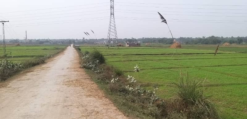 44 Kanal Agricultural Land for sale in Sialkot Road 9