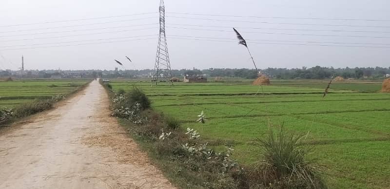 44 Kanal Agricultural Land for sale in Sialkot Road 10