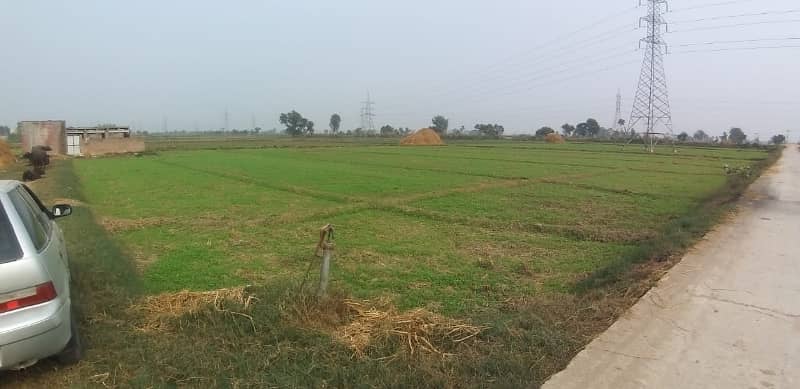 44 Kanal Agricultural Land for sale in Sialkot Road 11