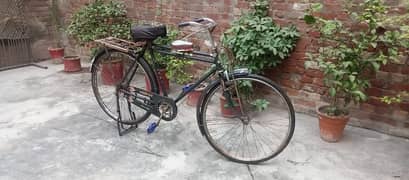 sohrab bicycle