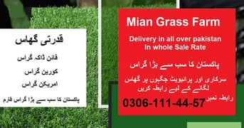 Natural Korean Grass | Fine Dhaka Grass | Natural Grass | Fresh Grass