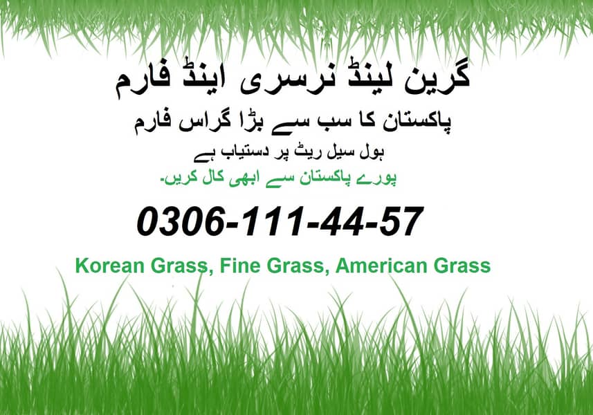 Natural Grass | Natural Korean Grass | Fine Dhaka Grass | Fresh Grass 0