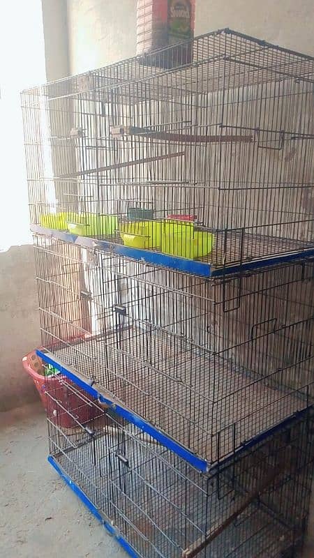 cage for sale 1