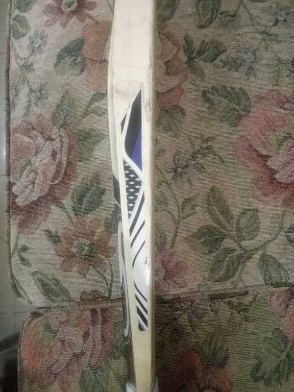 CA Hard Ball Cricket Bat 1