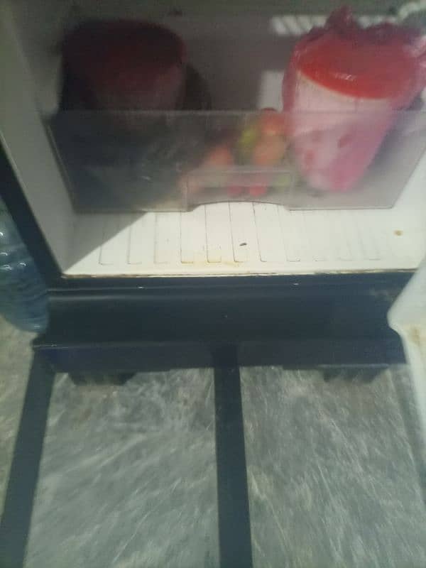 Fridge 2