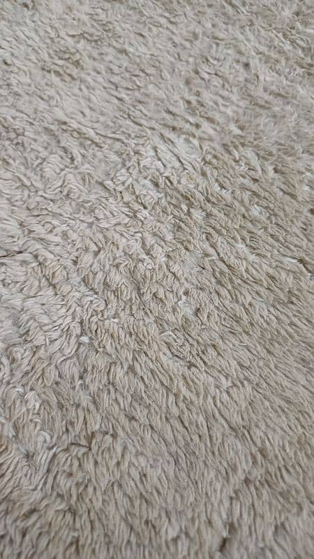 rugs for sale 4