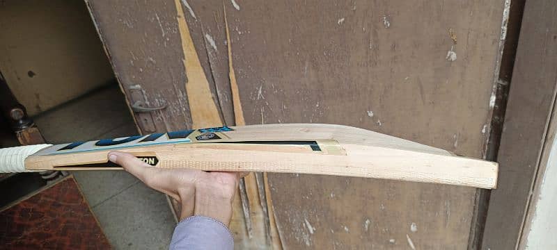 pure English Willow hard ball cricket bat 4