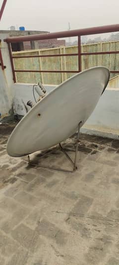 dish