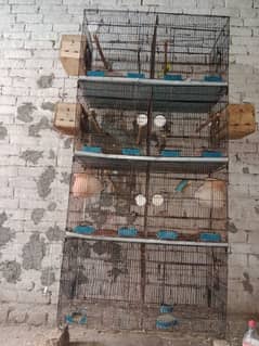 8 portion folding cage