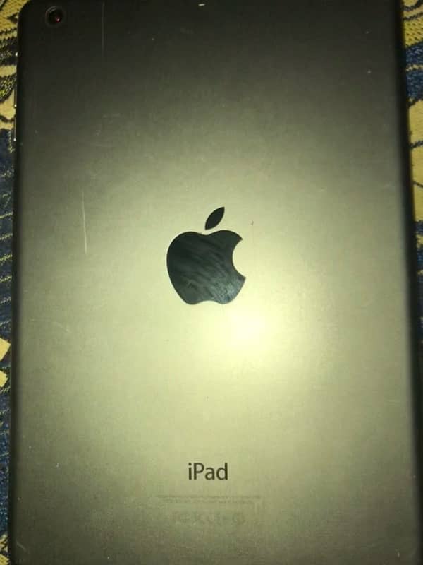 Ipad mini 2 1