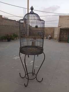 cage available for grey parrot raw ringneck