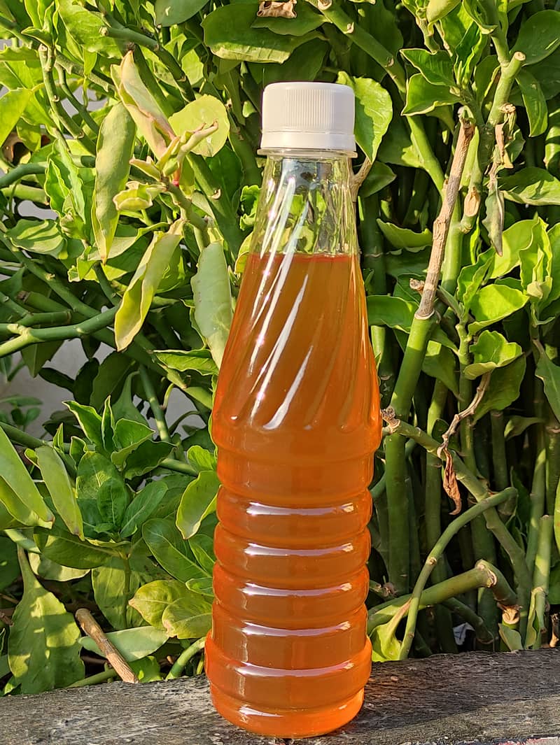 Fresh Choti Makhi / Small Bee Honey Forest 1