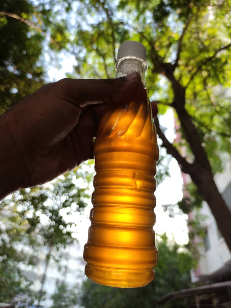 Fresh Choti Makhi / Small Bee Honey Forest 2