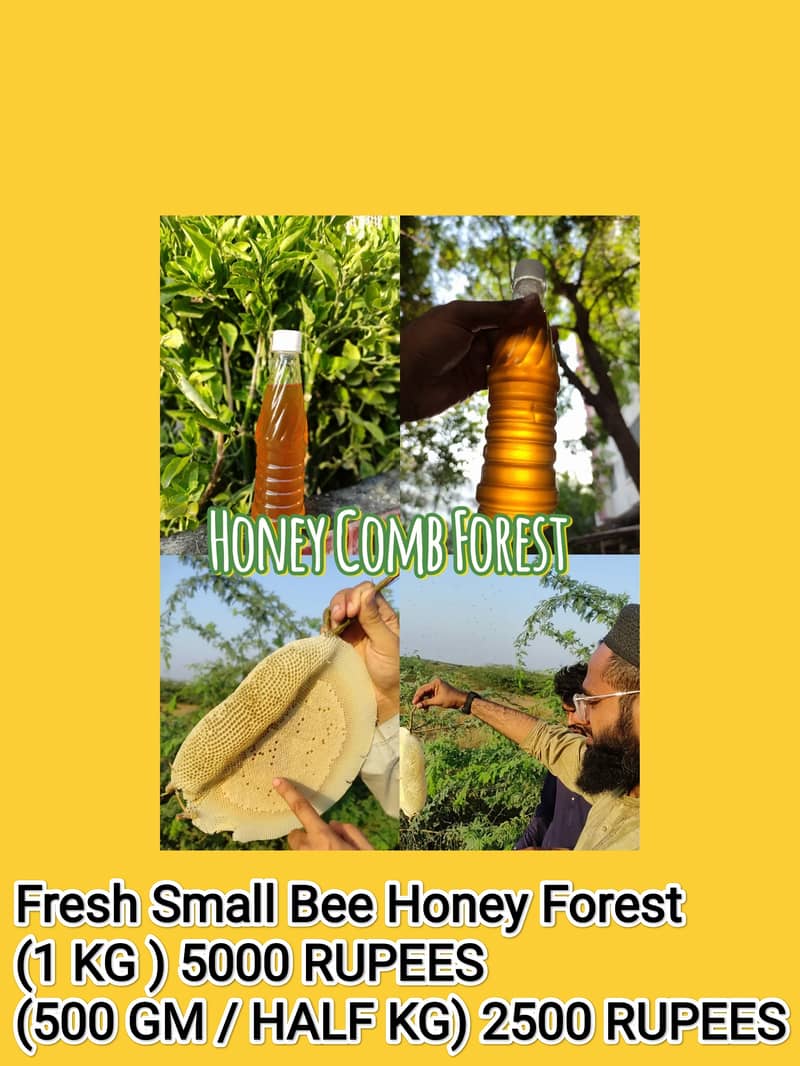 Fresh Choti Makhi / Small Bee Honey Forest 3