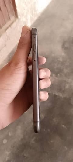 iPhone 11 nonpta