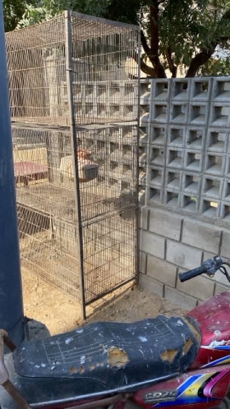 Heavy cage for sale 1