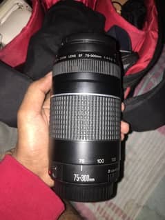 Canon 75 300mm Zoom Lens For Dslr Best Blur Bokeh