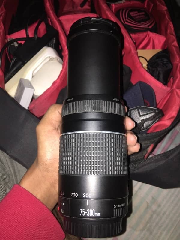 Canon 75 300mm Zoom Lens For Dslr Best Blur Bokeh 2