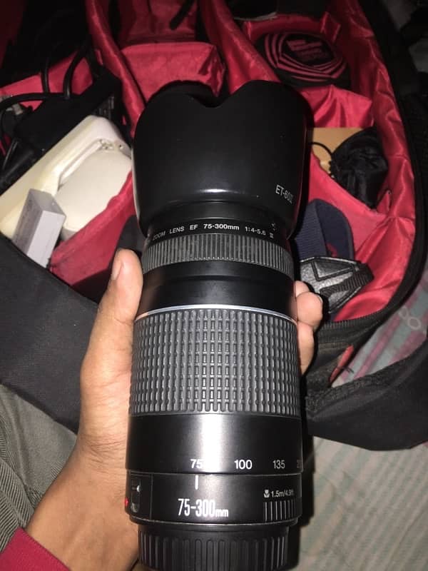 Canon 75 300mm Zoom Lens For Dslr Best Blur Bokeh 5