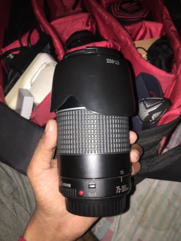 Canon 75 300mm Zoom Lens For Dslr Best Blur Bokeh 6