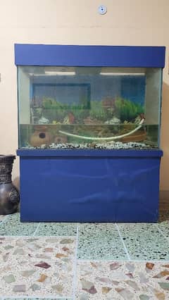 Fish aquarium 4 feet