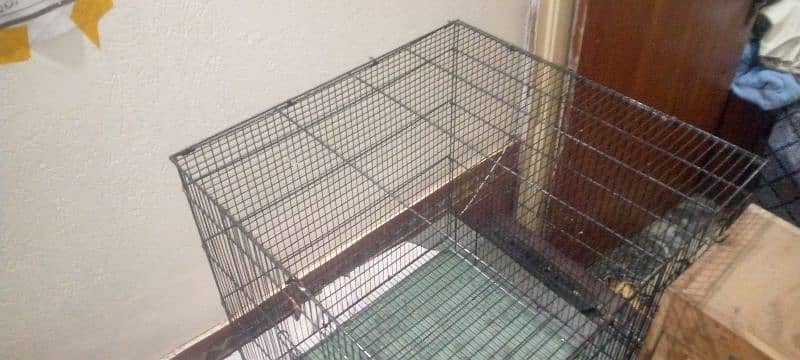 Cage for Hen's or Birds for urgent sale with breeding box 2