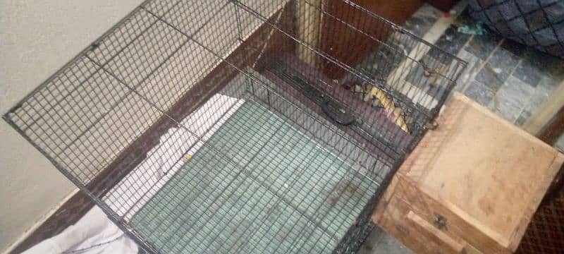 Cage for Hen's or Birds for urgent sale with breeding box 4