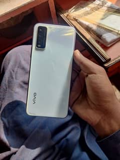 vivo