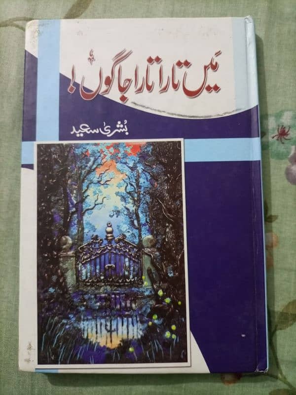 Set of 2 Urdu novels By Bushra Saeed 2