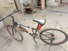 cycle for sale